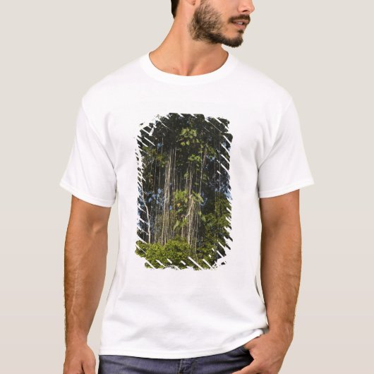レワ川沿い熱帯雨林 ガイアナ Tシャツ (正面)