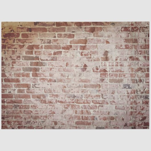 レンガのテクスチャ分離の組織 薄葉紙 (正面)