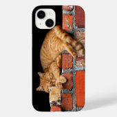 レンガの壁で眠る猫 Case-Mate iPhoneケース (裏面)