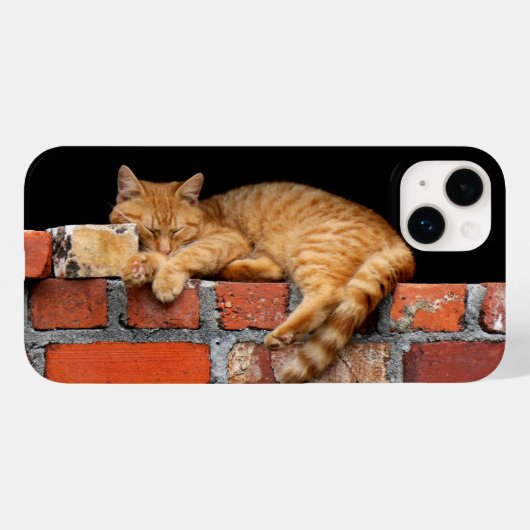 レンガの壁で眠る猫 Case-Mate iPhoneケース (裏面 (横))