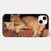 レンガの壁の上の猫 iPhoneケース (裏面横)
