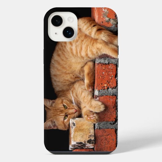 レンガの壁の上の猫 iPhoneケース (裏面)