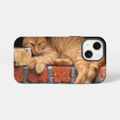 レンガの壁の上の猫 iPhoneケース (裏面横)