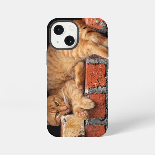 レンガの壁の上の猫 iPhoneケース (裏面)