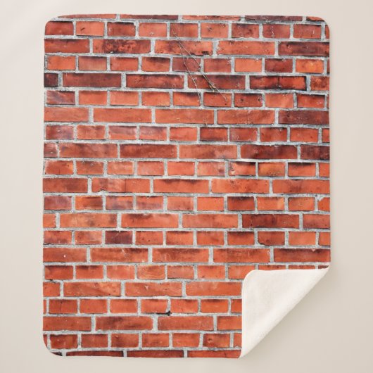レンガの茶色の壁 シェルパブランケット (正面)