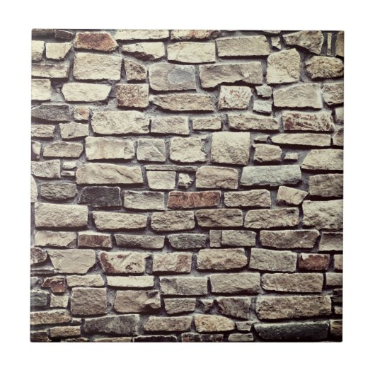 レンガエレガントの模倣 タイル (正面)