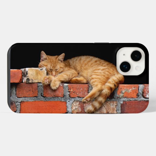 レンガ塀で寝る猫 iPhoneケース (裏面横)