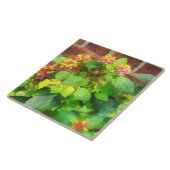 レンガ壁に対するLantana タイル (側面)