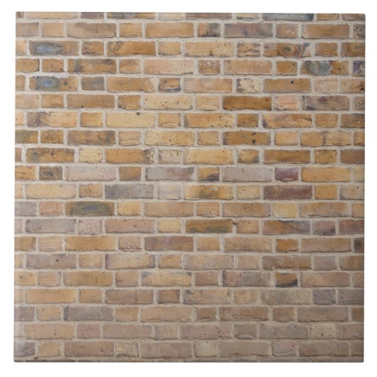 レンガ壁の質 タイル (正面)