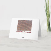 レンガ壁 カード (裏面)