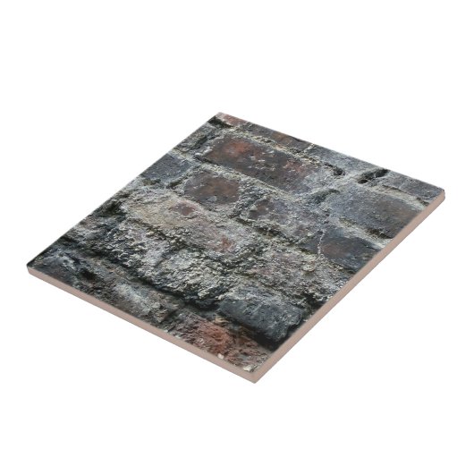 レンガ壁 タイル (側面)