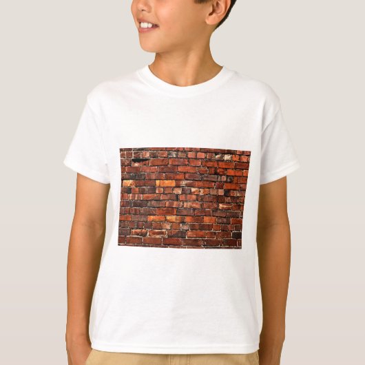 レンガ壁 Tシャツ (正面)