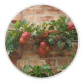 レンガ壁ESPALIERで育つりんご セラミックノブ (正面)