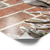 レンガ建物の前でブッシュに鳥をモック フォトプリント            (角)