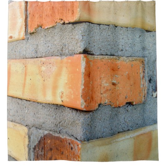 レンガ シャワーカーテン (正面)