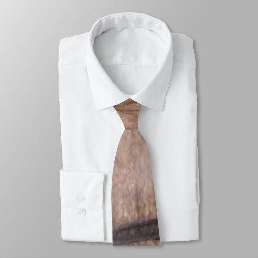 レンガ ネクタイ (タイ)
