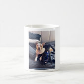 レングアジ動物 コーヒーマグカップ (中央)