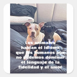 レングアジ動物 スクエアシール