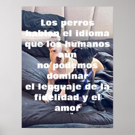 レングアジ動物 ポスター