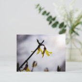 レンシア シーズンポストカード (スタンド正面)