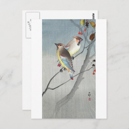 レンジャクと赤い実,古邨ワックスウィングと赤い果実,コソン ポストカード (正面/裏面)