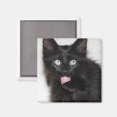 レンジャーキットン洗浄爪磁石 マグネット (正面/裏面)