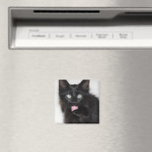 レンジャーキットン洗浄爪磁石 マグネット (インサイチュ (食洗機))