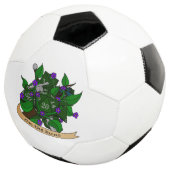 レンジャーサイコロデザイン サッカーボール (3/4)