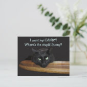 レンジャーザ・ストゥピッド・バニー・イースター・ポストカード シーズンポストカード (スタンド正面)