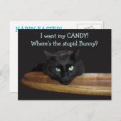 レンジャーザ・ストゥピッド・バニー・イースター・ポストカード シーズンポストカード (正面/裏面)