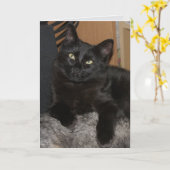 レンジャー猫あいさつ空白のきカード カード (黄色い花)