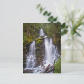 レンジャー秋ズMt. Rainer National Park ポストカード (スタンド正面)