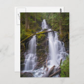 レンジャー秋ズMt. Rainer National Park ポストカード (正面/裏面)