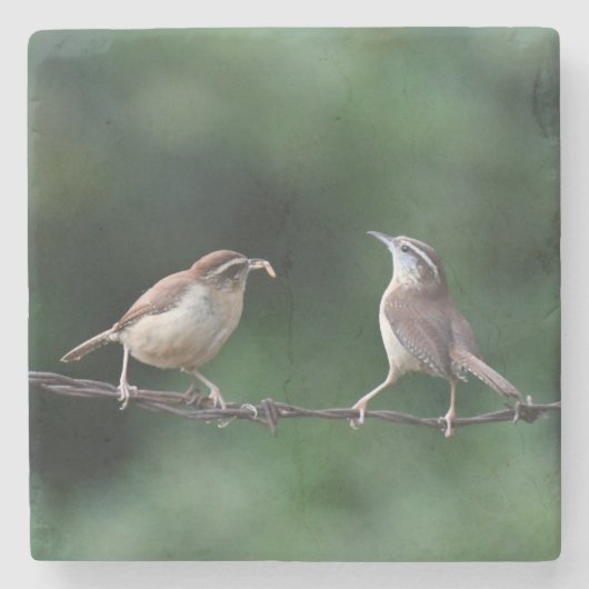 レンスコースター ストーンコースター (正面)