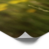 レンズのポスター前向きを通した人生 ポスター (角)