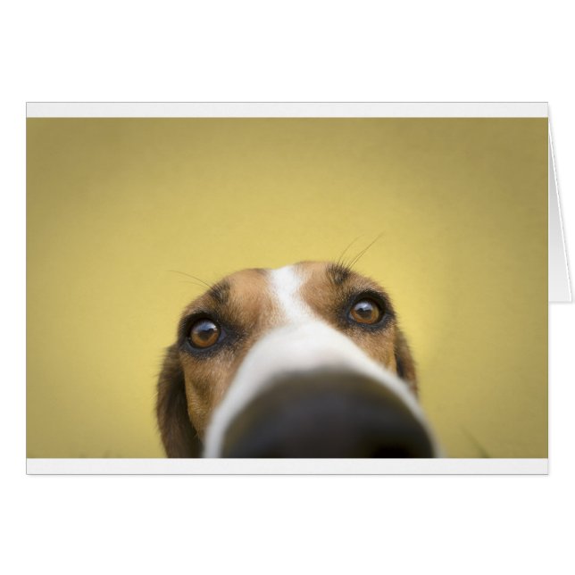 レンズの洗剤 (正面横)