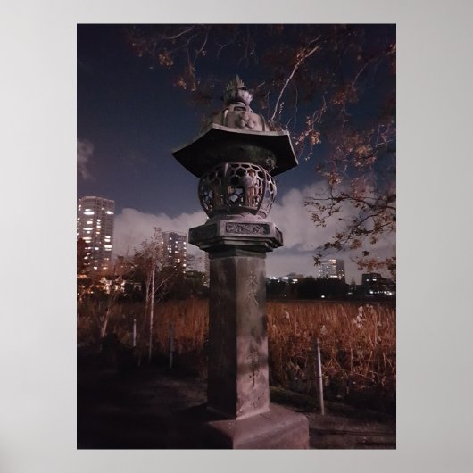 レンズを通したアート ポスター (正面)