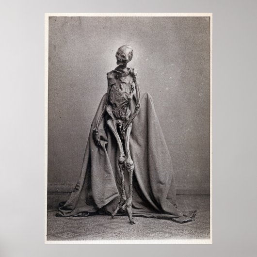 レンドスヒュンマン ポスター (正面)