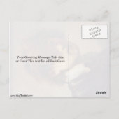 レンブラント・ヴァン・リジンによる初期の自画像 ポストカード (裏面)