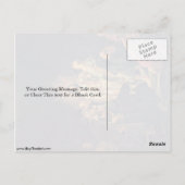 レンブラント・ヴァン・リジンによる聖トマスの不信 ポストカード (裏面)