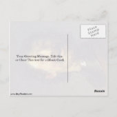 レンブラント・ヴァン・リジンのゴルジェで笑う男 ポストカード (裏面)