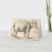 レンブラント、象、1637年、ファインアート カード (正面)