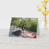 レンベリーダックランゴレンカナルノテカード カード (黄色い花)