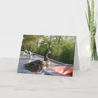 レンベリーダックランゴレンカナルノテカード カード