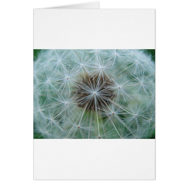 レヴェンツァンムスター (正面)