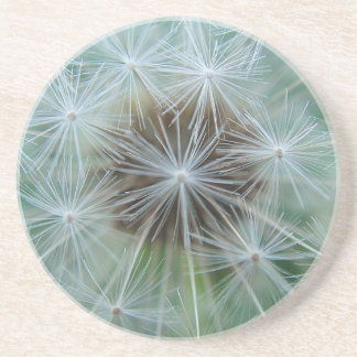 レヴェンツァンムスター コースター