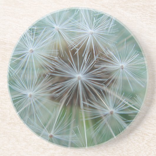 レヴェンツァンムスター コースター (正面)