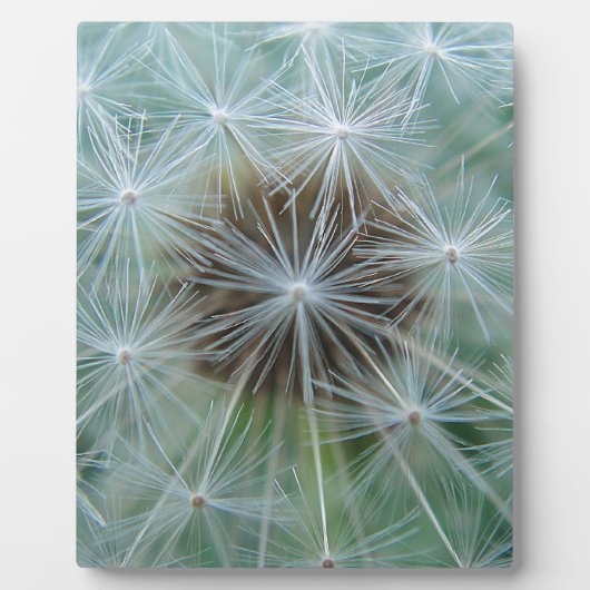 レヴェンツァンムスター フォトプラーク (正面)