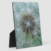 レヴェンツァンムスター フォトプラーク (側面)