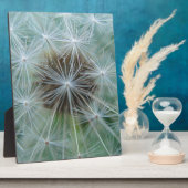 レヴェンツァンムスター フォトプラーク (側面)